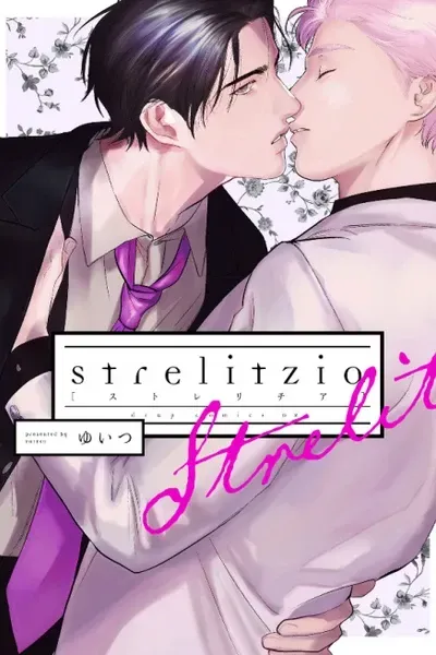 Cover of Strelitzia
