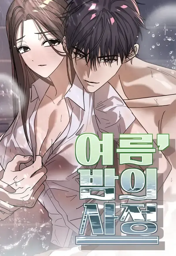Cover of Summer Night’s Affairs
