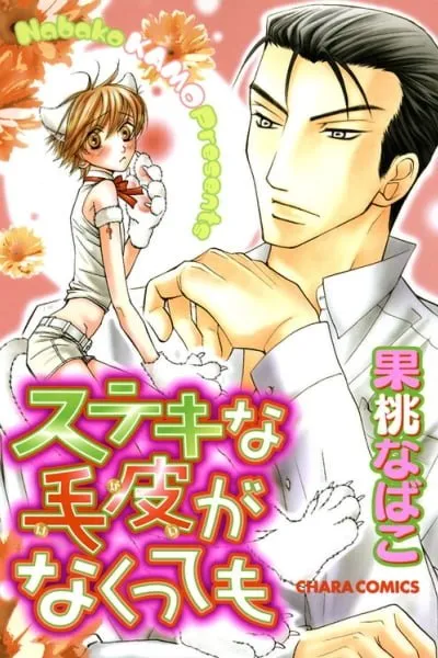 Cover of Suteki na Kigawa ga Nakuttemo
