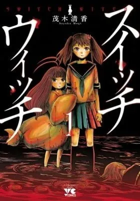 Cover of Switch Witch