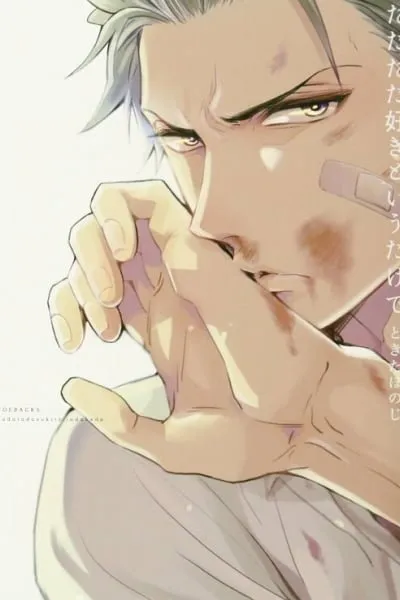Cover of Tadatada Suki to Iu Dake de