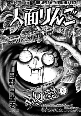 Cover of The Apple With A Human Face
