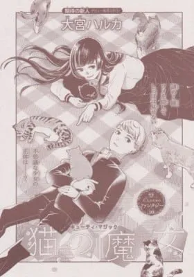 Cover of The Cat Witch
