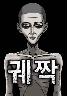 Cover of The Chest