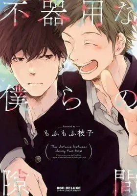 Cover of The Distance between Two Clumsy Boys