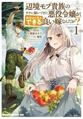 Cover of The Evil Noblewoman Turned Out to Be the Perfect Wife