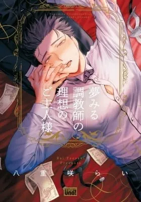 Cover of The Ideal Master of a Dreaming Trainer