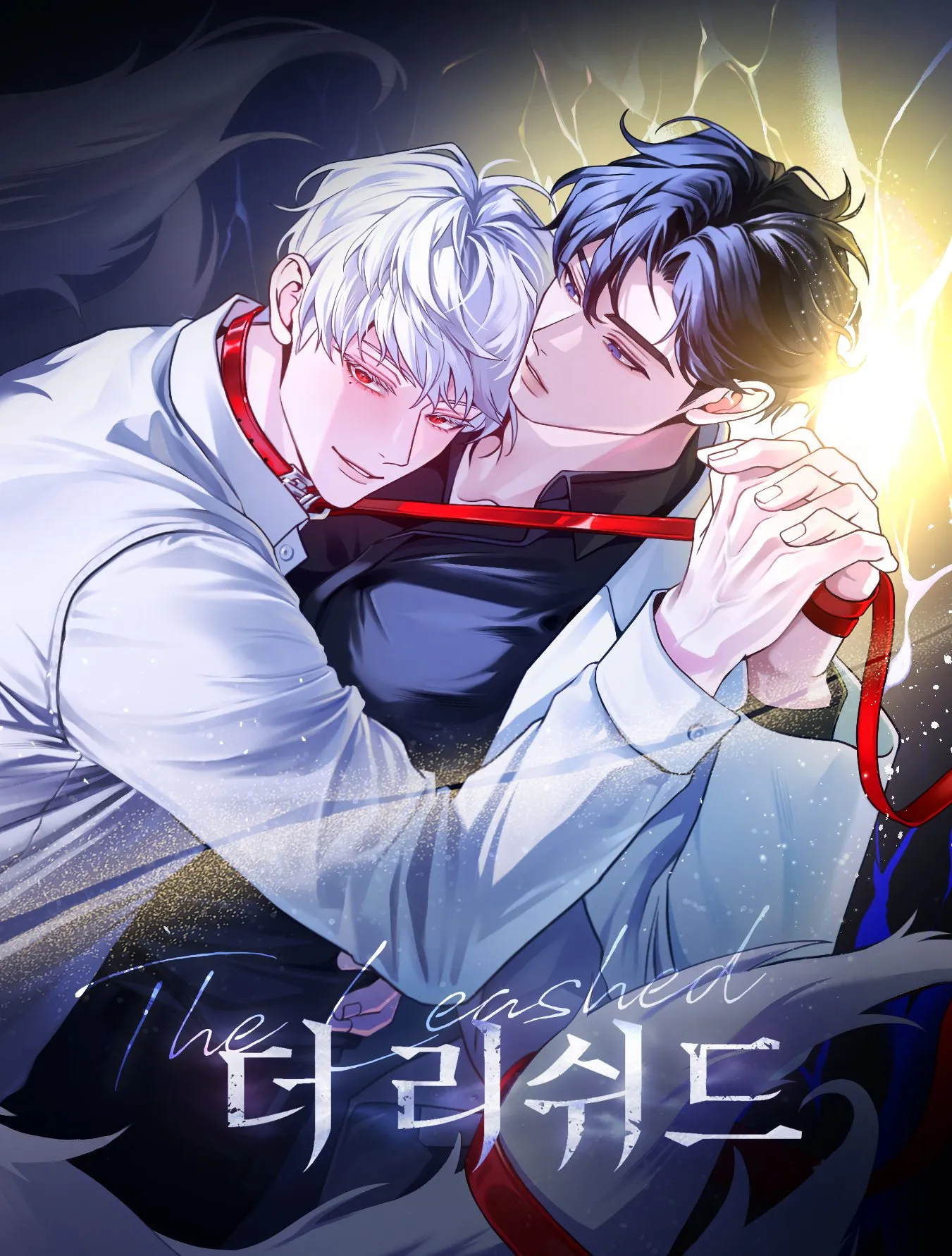 Cover of The Leashed