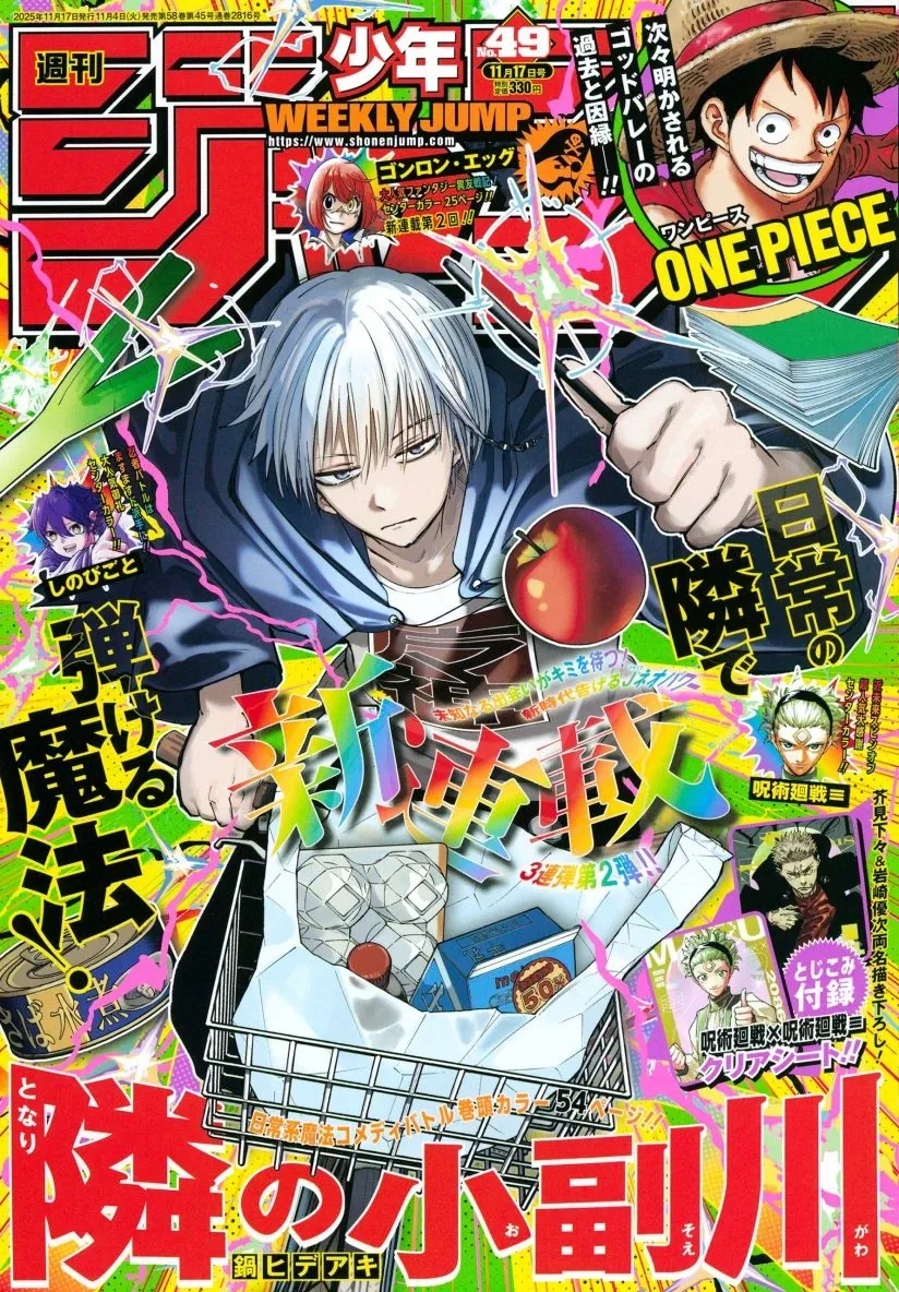 Cover of The Mage Next Door