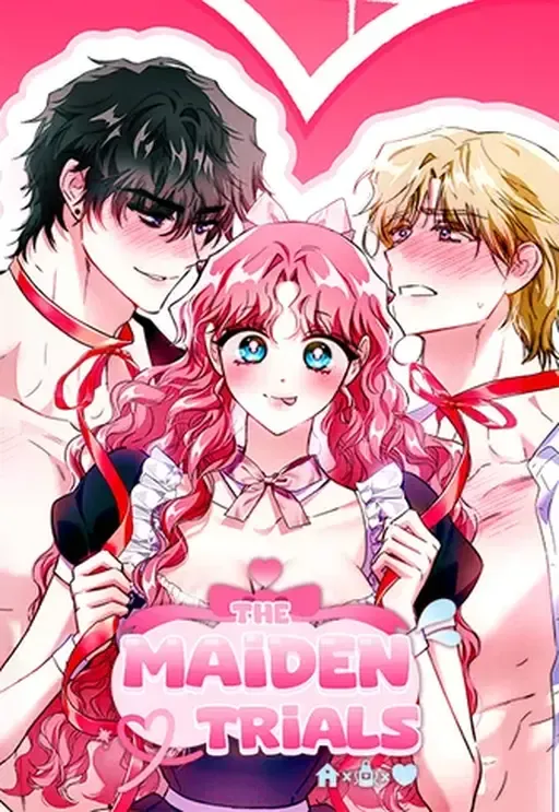 Cover of The Maid Is Too Much!
