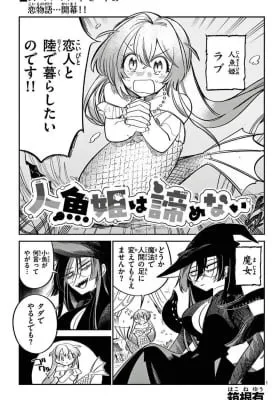 Cover of The Mermaid Princess Won't Give Up