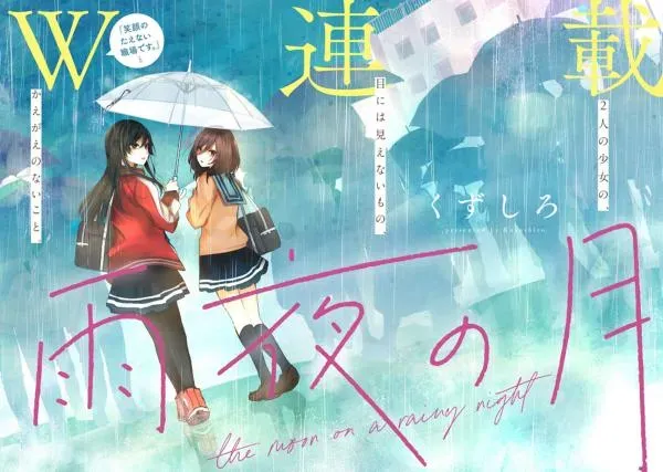 Cover of The Moon on a Rainy Night