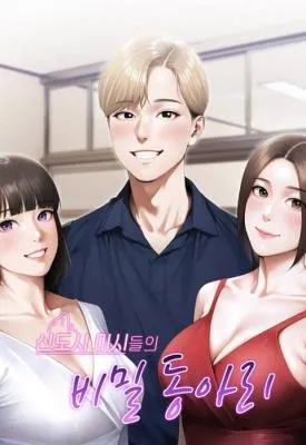 Cover of The New Town Wives' Secret Club