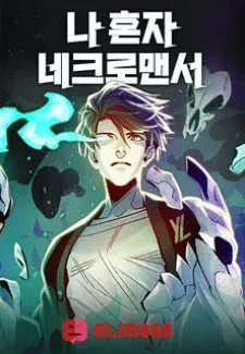 Cover of The Only Necromancer