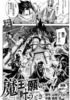 Cover of The Overlord's Wish