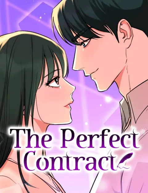 Cover of The Perfect Contract