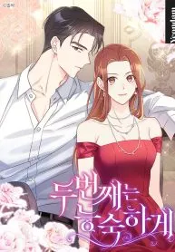 Cover of The Second Time, Like a Pro