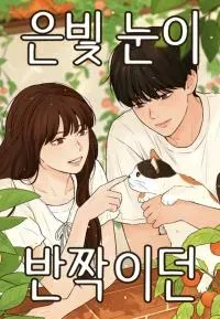 Cover of The Silver Eyes that Sparkled