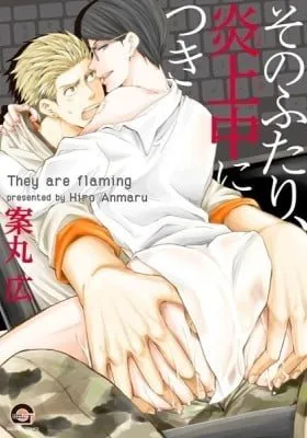 Cover of They Are Flaming