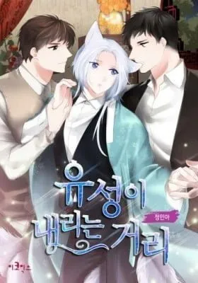 Cover of To Catch a Falling Star