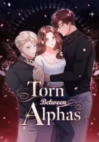 Cover of Torn Between Alphas