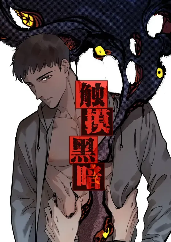 Cover of Touch The Darkness