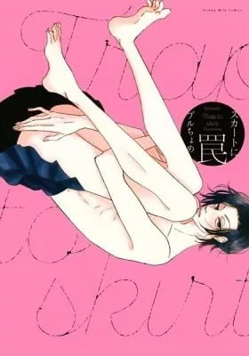 Cover of Trap to Skirt