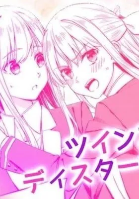 Cover of Twins Disturb