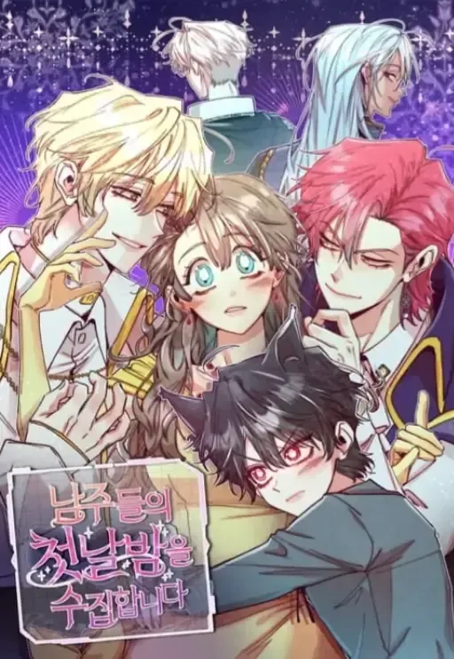 Cover of V-Card Raider: Collecting The Male Leads