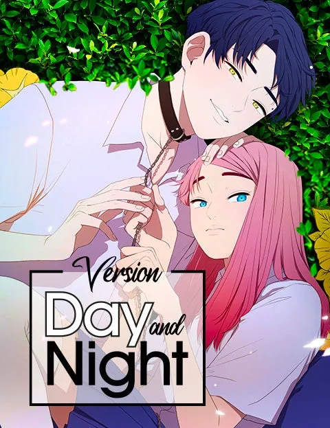 Cover of Version Day and Night
