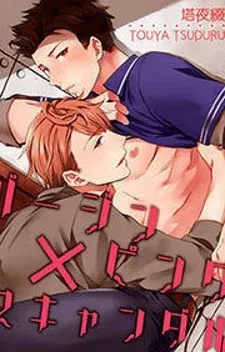Cover of Virgin Pink Scandal