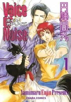 Cover of Voice or Noise