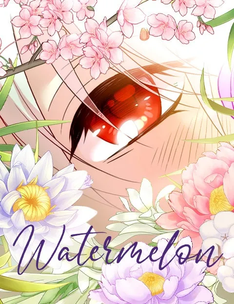Cover of Watermelon