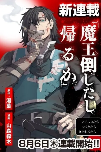 Cover of We Beat The Demon Lord So Let’s go Home
