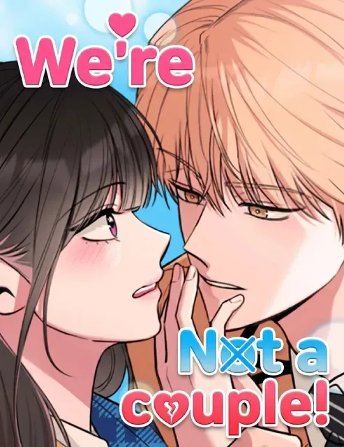 Cover of We’re Not a Couple!