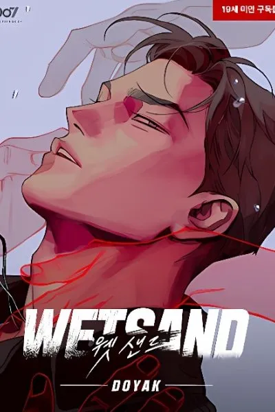 Cover of Wet Sand