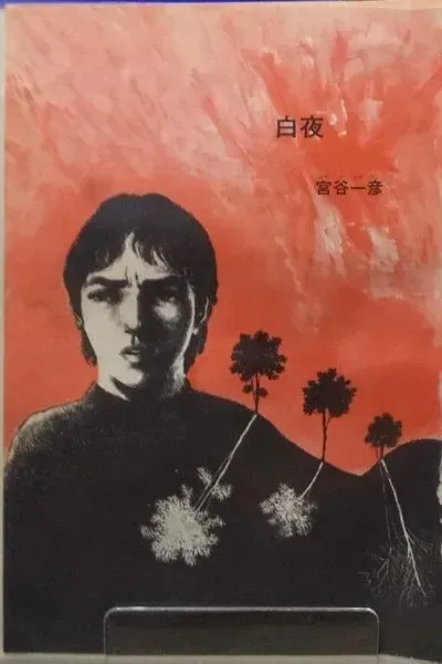 Cover of White Night