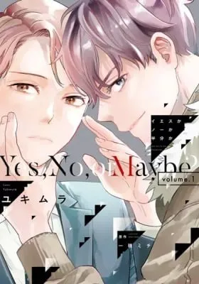 Cover of Yes, No, Or Maybe