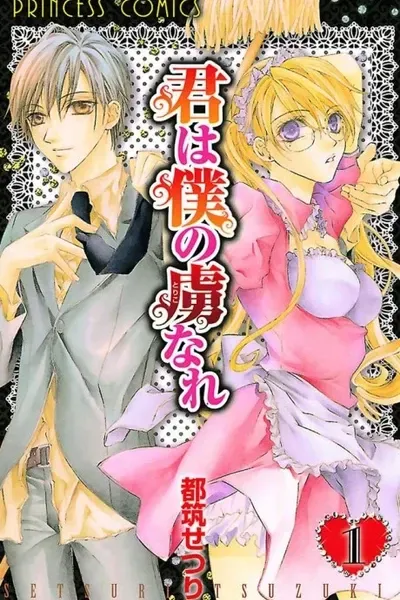 Cover of You Are My Captive