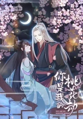 Cover of You Are My Romantic Destiny