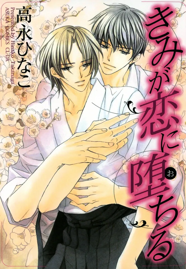 Cover of You Will Fall in Love