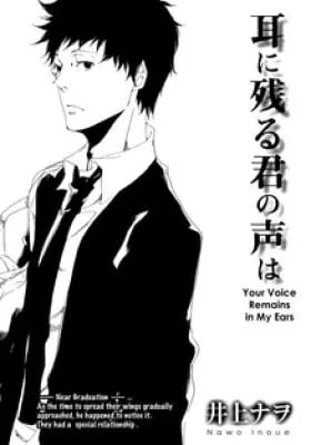 Cover of Your Voice Remains in My Ears
