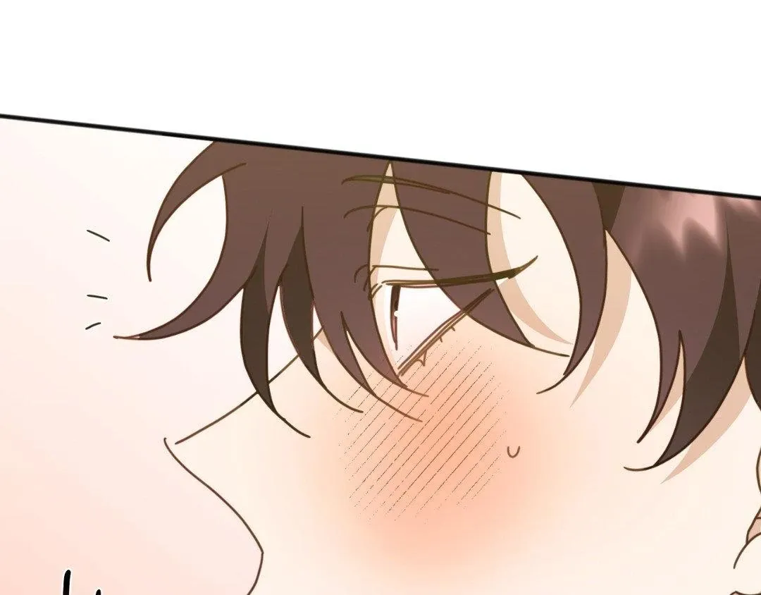 Tiger's Coming Down Chapter 37 page 168 - 