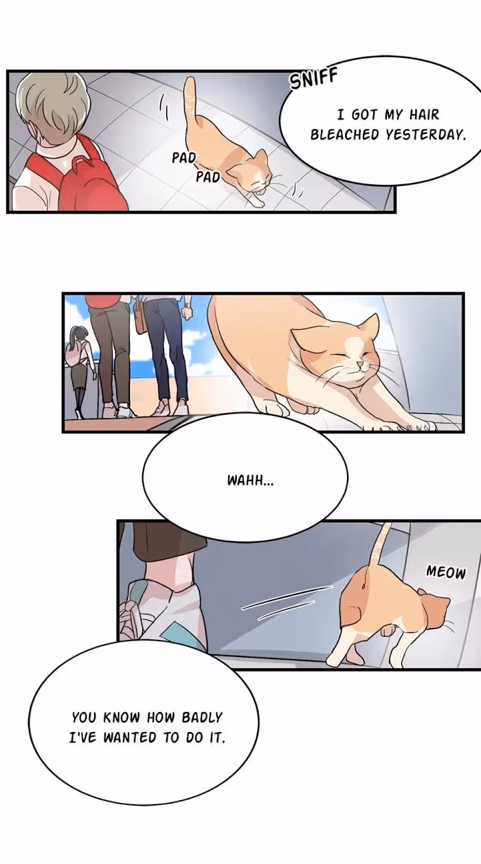 Till Our Lips Touch Chapter 11 page 12 - 
