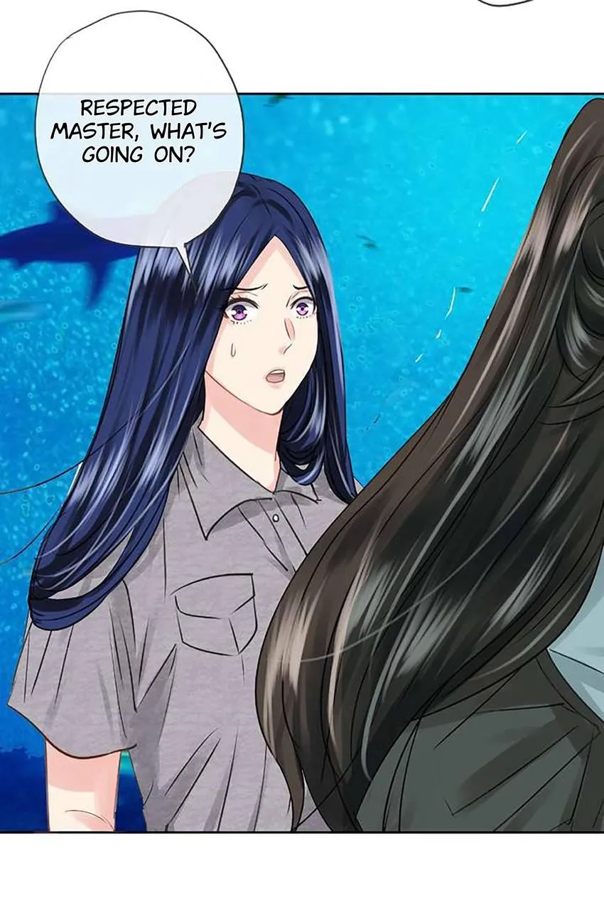 Time Traveled to Meet You Chapter 51 page 23 - 