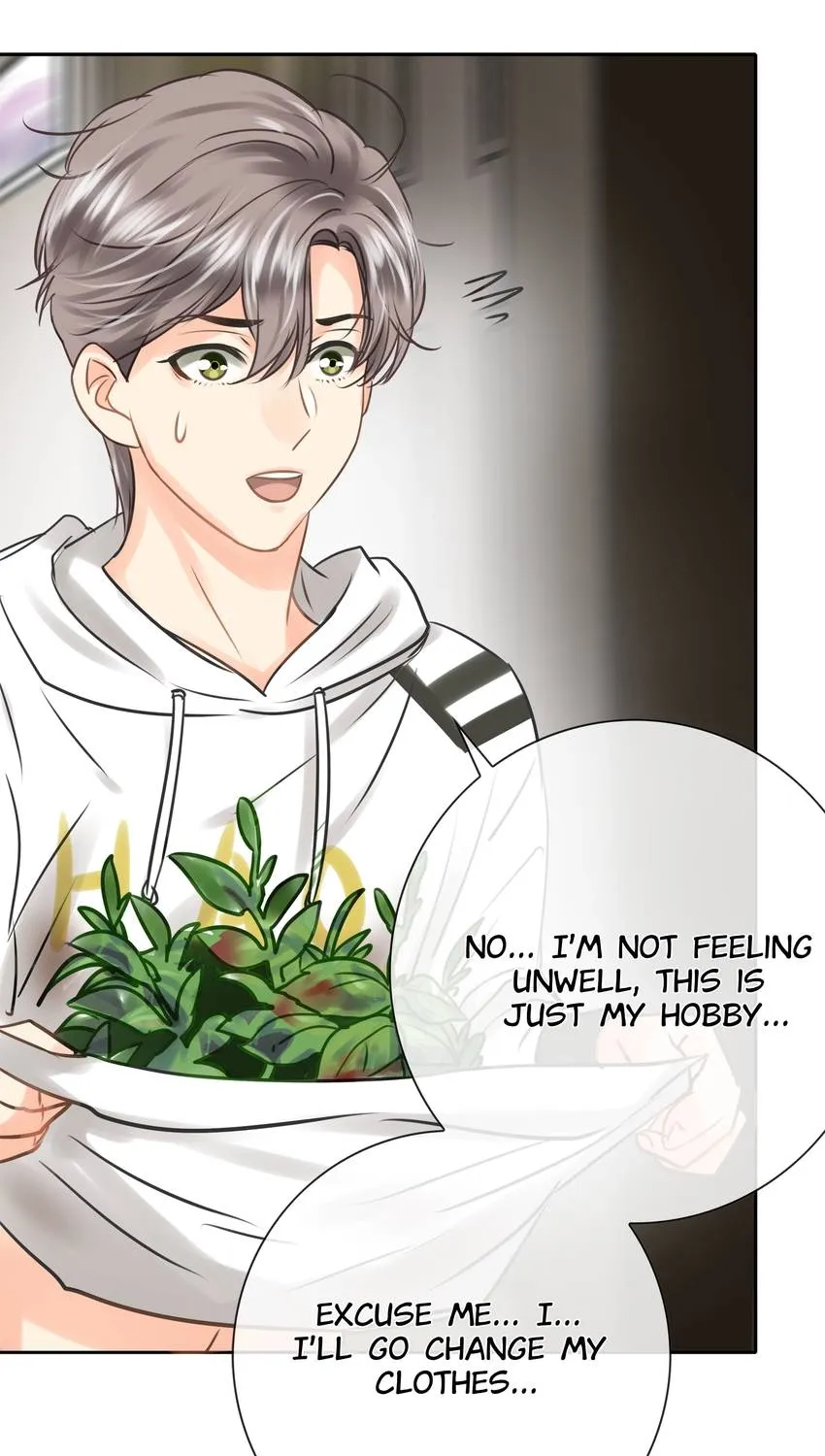 Time Traveled to Meet You Chapter 53 page 33 - 