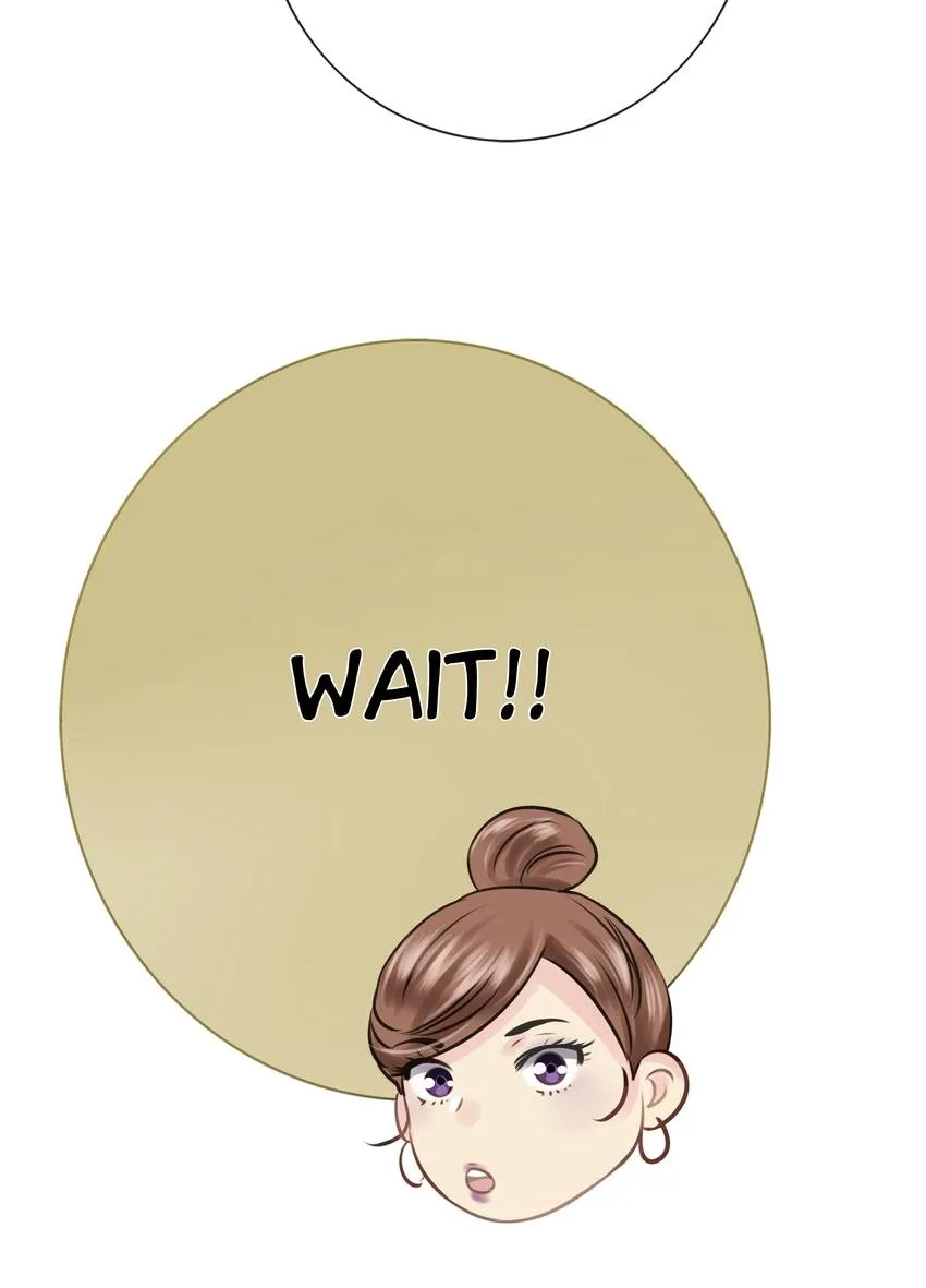 Time Traveled to Meet You Chapter 53 page 34 - 