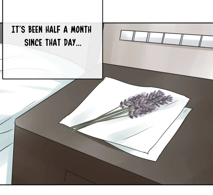 Time Traveled to Meet You Chapter 56 page 3 - 
