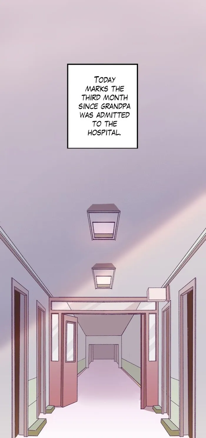Timeless melody Chapter 1 page 1 - 