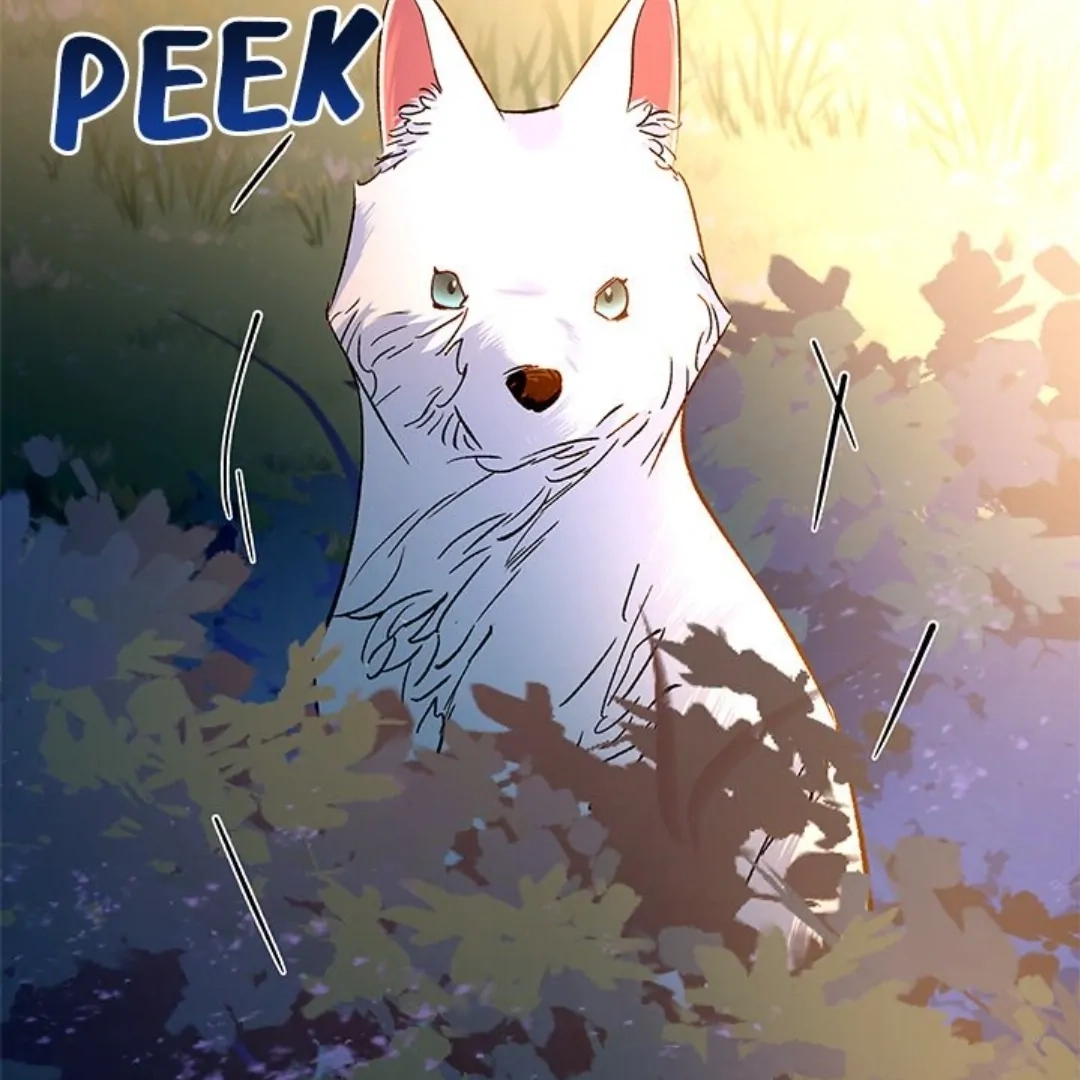 To Be His Wish Chapter 29 page 72 - 